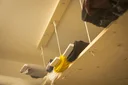 /images/56b59641-dcae-42eb-9ec0-7a1c4ac98a51_thumbnail.webp
