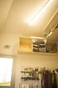 /images/688a25ca-89b8-4a15-acbc-e8a6af25d5d3_thumbnail.webp