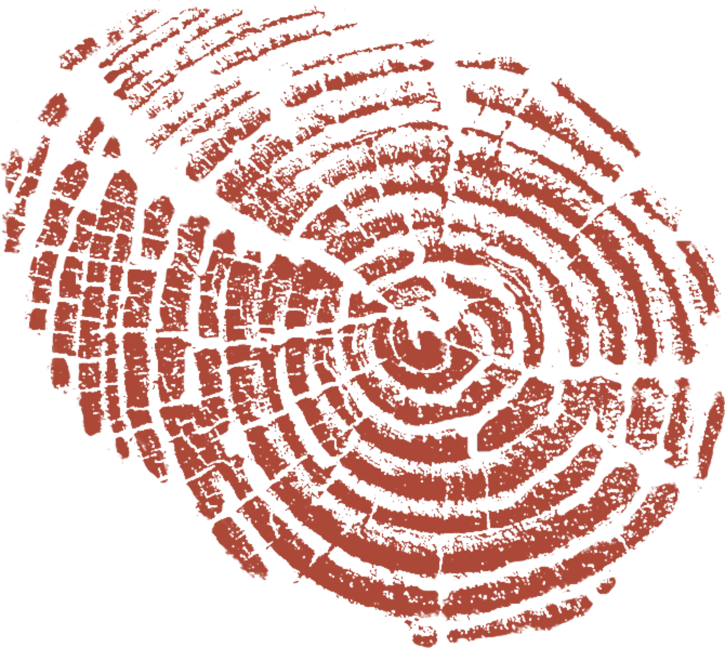 Logo de Tectone